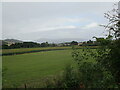 Grass field near Bromfield in SY8 2BS