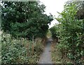 Cycle path towards Willow Park Nature Reserve in SS16 5SJ