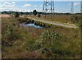 Small pond beside track in Cumbernauld East Ward