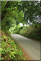 Lane from Harbourneford Cross in TQ10 9DS