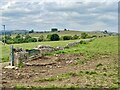 Field wall and trough in SK17 0AT