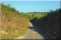 Lane from Blackawton in TQ9 7BW
