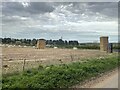 Straw bales and pig shelters near Burnter's Covert in IP12 2DU
