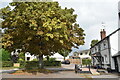 Large tree outside The Plough Inn in SP11 8JN