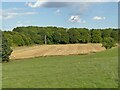 Field with hay bales at Newfield Farm in WF11 9JJ