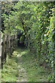 Narrow and enclosed path in SL6 9AE
