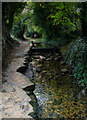 Brook and weir near Belph in Hodthorpe and Belph