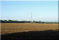 Ploughed field and pylon, Navestock Heath in Navestock