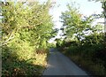 Mill Lane towards Shonk's Mill in Navestock