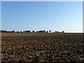 Ploughed field off London Road  in CM5 9PR