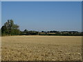 Stubble field near Chevers Hall in CM5 9NZ