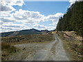 Forestry road in PA32 8XN