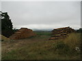 Stacked timber, Shipton Oliffe in GL54 4HY