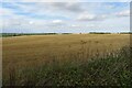 Farmland on Lannock Hill in North Hertfordshire District