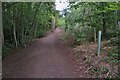 Path through Weston Hills Nature Reserve in SG7 6FH