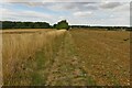 Footpath over the fields to Rushden in SG9 0SP