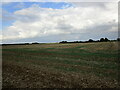 Stubble field near Ridlington in LE15 9FF