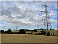 Pylons marching east over the stubble in SG9 0SP