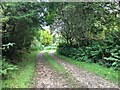 Track to Eathie in PA34 4XQ