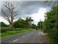 Forest Road (B3034) in RG40 5RN