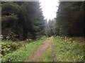 Forestry road near Fearnoch in PA31 8RL