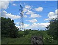Pylon near Pingewood in RG2 6AT