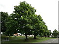 The village green, Tugby in Tugby and Keythorpe