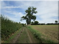Bridleway from Rolleston approaching Tugby in LE7 9WD