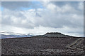 Summit of Geallaig Hill in AB35 5UJ