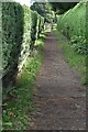 High hedged footpath in SL6 9RZ