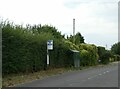 Overgrown footpath and hedge by bus shelter, Uckington in GL51 0PZ