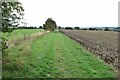 Footpath to Hare Street in SG9 9QB