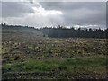 A cleared area above Loch Laggan in PH31 4AR