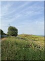Views towards Hartshead Pike Tower in OL4 5RZ