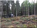 Harvesting, Culloden Forest in IV2 5ES
