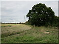 Stubble field and pylon in NG24 4LS
