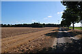 Footpath to Heath Farm in IP28 6NT