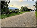 Old farm equipment on the byway into Ardeley in Ardeley