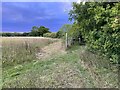 Footpath rejoins the byway in Ardeley