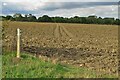 Footpath across the ploughed field to Wood End in SG2 7JD