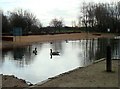 The beach, Hemsworth Water Park in Hemsworth