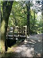 Wooden footbridge over the River Clyne in SA2 8EG