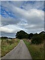 Minor road near Kildary in IV18 0NZ
