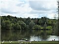 Llyn y Fendrod (The Fendrod Lake), Llansamlet, Swansea in SA6 8RJ