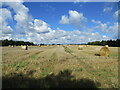Footpath over stubble field on Haugh Rigg in YO18 8JN
