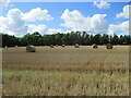 Straw bales in a stubble field on Haugh Rigg in YO18 8JN