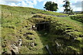 Mine adit near Barneycraig Mine Shop, Carrshield in NE47 8AR