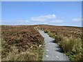 Track on the Blorenge - the summit in the distance in NP7 9NY