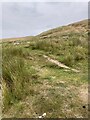 Path towards Broadstone Hill in OL3 5JS
