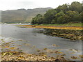 A corner of Loch Long in IV40 8EP